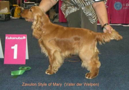 Zavulon Style of Mary